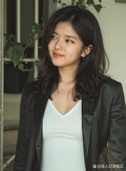 免费行情网站入口大全 - 下载页面展示